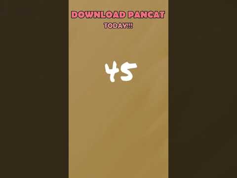 Pancat: Pancake Flip Challenge