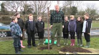 preview picture of video 'How to Plant an Apple Tree - Sustainable Somerset.mov'