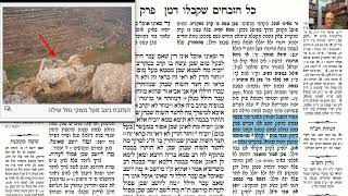 דף יומי מסכת זבחים דף טז Daf yomi Masechet Zevachim page 16  ע"י יוני גוטמן (שיעורי הדף היומי ב-20 דקות – מועבר ע"י ר' יוני גוטמן – לעילוי נשמת אביו ר' אלימלך צבי (צביקה) גוטמן ז"ל) - התמונה מוצגת ישירות מתוך אתר האינטרנט יוטיוב. זכויות היוצרים בתמונה שייכות ליוצרה. קישור קרדיט למקור התוכן נמצא בתוך דף הסרטון