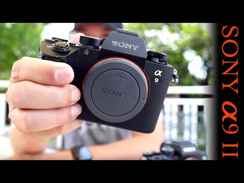 Sony a9 II: $4,500 Full-frame Mirrorless with 20 FPS
