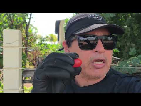 Fazenda Verdugue, Hidrolândia, Ceará!