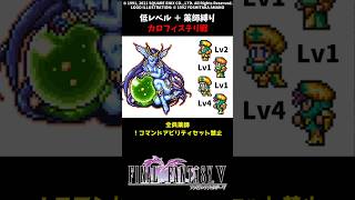 FF5 薬師だけでカロフィステリ 低Lv FINAL FANTASY V SFC版 job unification & Low-Level Run VS Calofisteri