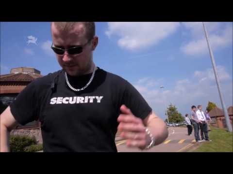 furries mv dancing queen