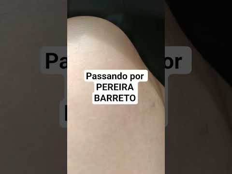viajando por São Paulo e passando por Pereira Barreto.