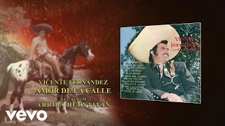 Vicente Fernández - Amor de la Calle (Audio)