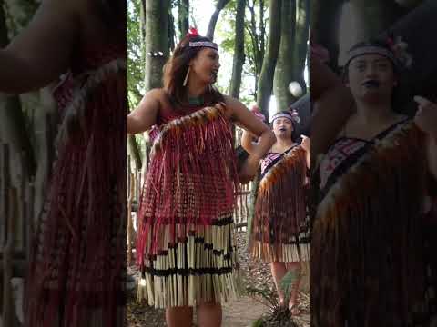 Discover Māori Culture – Step Inside an ANCIENT Village!