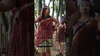 Discover Māori Culture – Step Inside an ANCIENT Village!