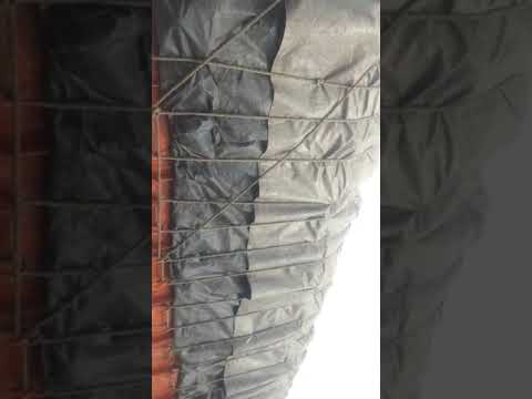 A grade whole raw coconut, packaging size: 25 ton minimum lo...