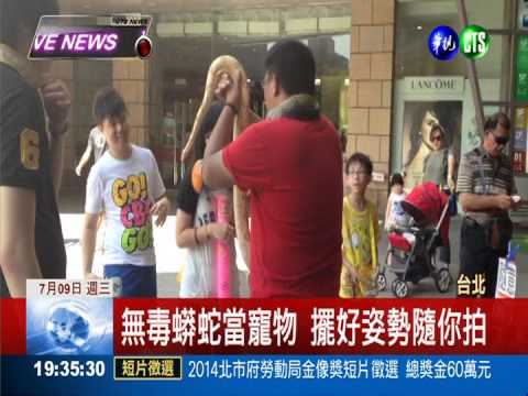 "蟒蛇先生"遛寵物 圍觀民眾試膽