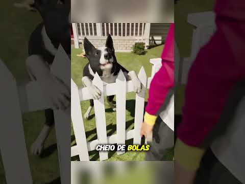 O Cachorro que Conquistou o Bairro com uma Bola de Tênis 🎾🐶#shorts