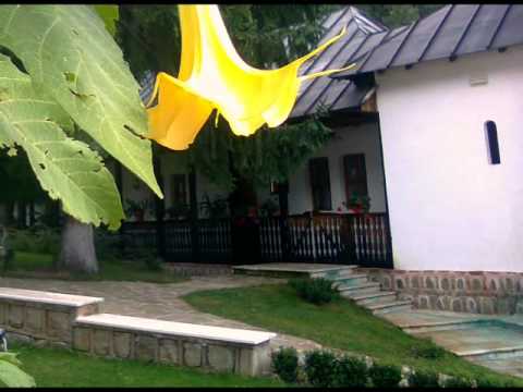 Mânăstirea Robaia - Arges