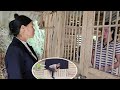 Khanh S Mother Did Something Outrageous To Her Just Because Of Land Documents