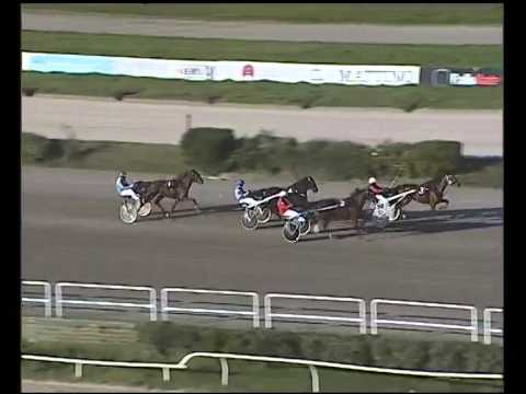 Trotto 09/12/2014 - 1° prova di qualifica