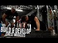 How To BUILD & DEVELOP Your CHEST (FOLLOW ALONG) | Shreddin8 Winner