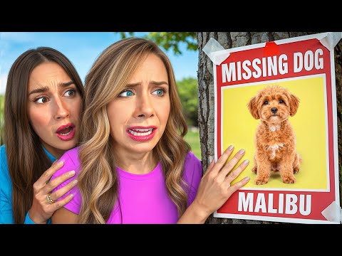 MY DOG WENT MISSING...
