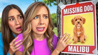 Download lagu MY DOG WENT MISSING... mp3 Download lagu MY DOG WENT MISSING... mp3