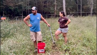 Sweet Potato Harvest || A Tough Year in the Garden || October 2025