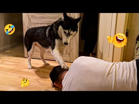 Try NOT to Laugh… This Is 102% BEYOND IMPOSSIBLE! 😂 Funny dog moments 2025 🐕 #21