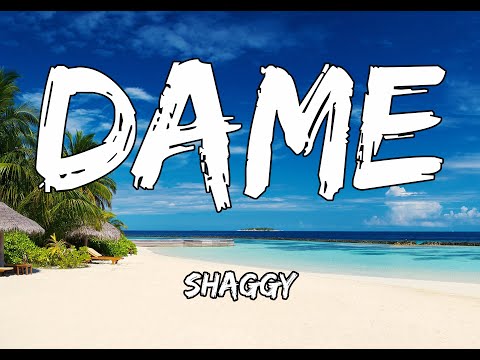 Shaggy - Dame - Lyrics