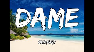 Shaggy - Dame - Lyrics