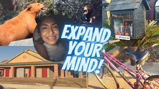 Doing Modesto: Expand Your Mind | Modesto, CA