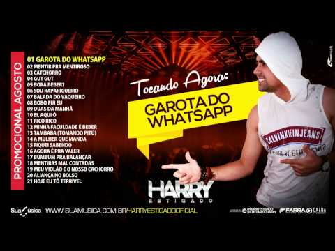 GAROTA DO WHATSAPP - HARRY ESTIGADO - CD PROMOCIONAL AGOSTO 2015