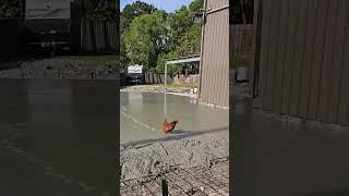Le poulet ruine le béton frais !