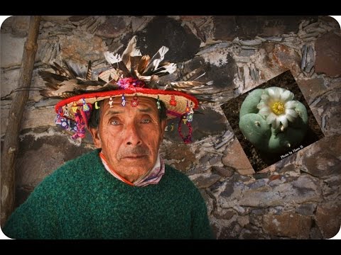 Peyote: Last of The Medicine Men - Huichol People of Mexico