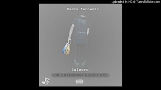Pedro Fernando - Celebro (Áudio Oficial)