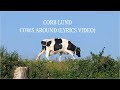 Corb Lund - Cows Around (#Lyrics Video)