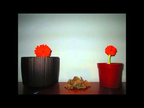 Compartir es dar vida