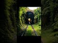 Travel Exploring Abandoned Train Patti XMysterious Jungle Shorts Trending Part16
