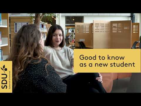 Erhvervsøkonomi, HA - Global Business Relationships på SDU