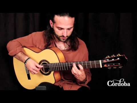 Brand New Cordoba Iberia Series GK Studio Acoustic/Electric Flamenco Blanca Guitar image 11