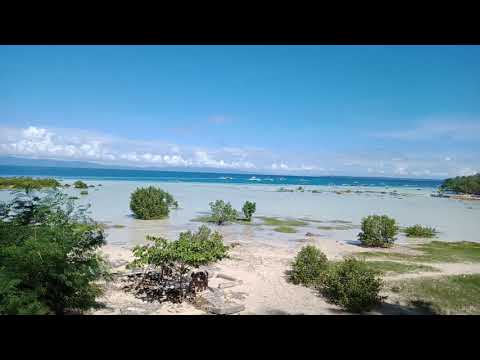 Vida Kristele Nipa House - One of our local beaches at high tide.