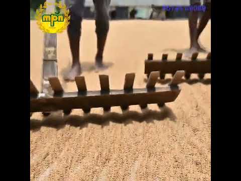 Appayan Rice is A DESI RICE | #shorts #rice #desirice