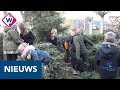 Kerstbomen inzamelen voor hospice - OMROEP WEST