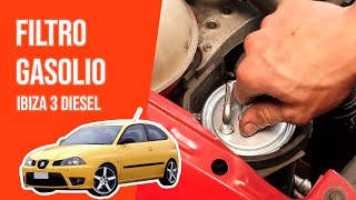 Youtube thumbnail of video "Cambiare il filtro del gasolio"