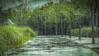 Download lagu Instant Sleep Aid: Rain Sounds | Beat Insomnia, Deep Sleep, White Noise, Tinnitus Relief mp3