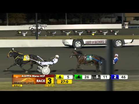 Meadowlands November 15, 2014 - Race 3 - Voelz Hanover