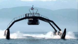 Herbie Mann - The Butterfly in stone garden