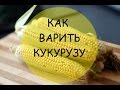 Как варить кукурузу - проверенный рецепт 