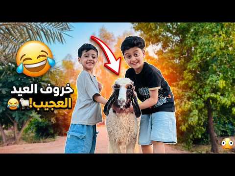 جبت خروف العيد.. ولقيت مجودي وجود نايمين ويا لصبح! 🐑😂