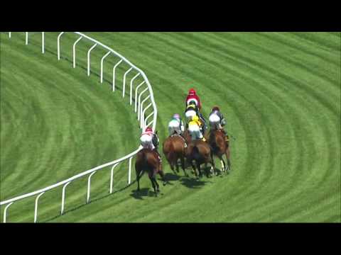 Suffused - 2016 Belmont Coronation