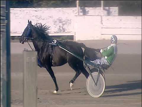 Trotto 27/12/2019 - 3ª corsa