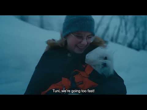 Small Dogs Bark Loud | JUST25