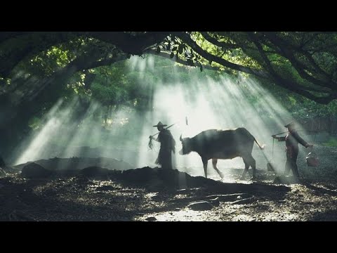 Idyllische Illusion: Wie Chinas Dörfer im Osten das perfekte Urlaubsfoto inszenieren