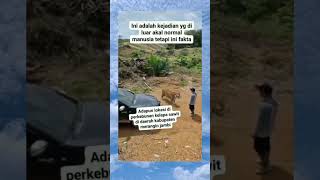 Download lagu ini adalah kejadian yang di luar akal normal manusia tetapi ini fakta mp3