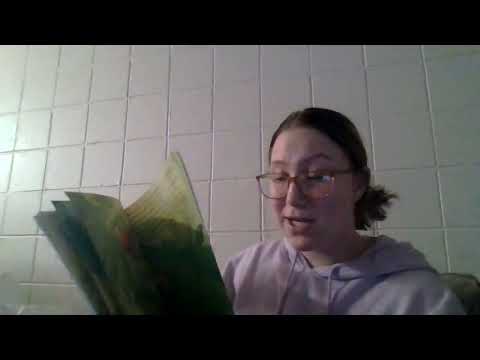 The dancing turtle read aloud