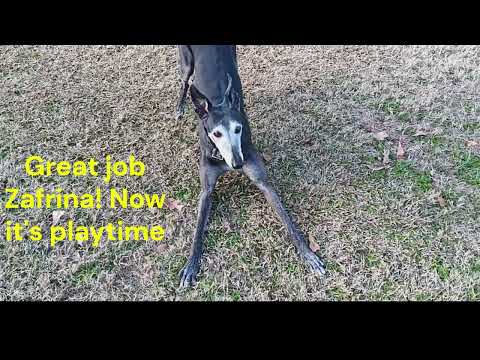 Zafrina playing after modeling job